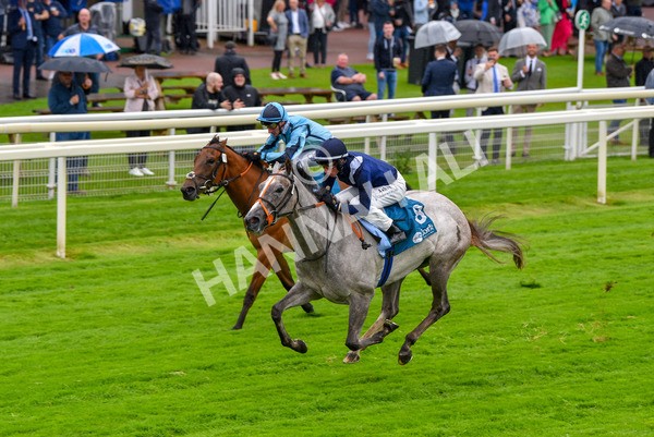 140723-Race 3-Symbology-8174 - Race 3 3.15pm William Hill Keep Your Raceday Positive Irish EBF Fillies' Novice Stakes