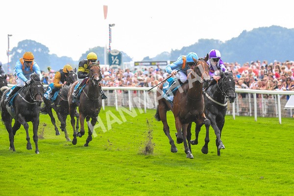 100923-Race 1-The Coffee Pod-0386 - Race 1 1.40pm Ire Incentive, It Pays To Buy Irish EBF Novice Stakes