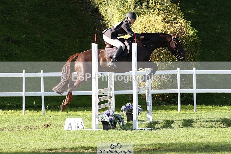 231022-150002-29559 - 461-WOODLANDS.JESTER-Karen.Cowling-TrotUp+SJ