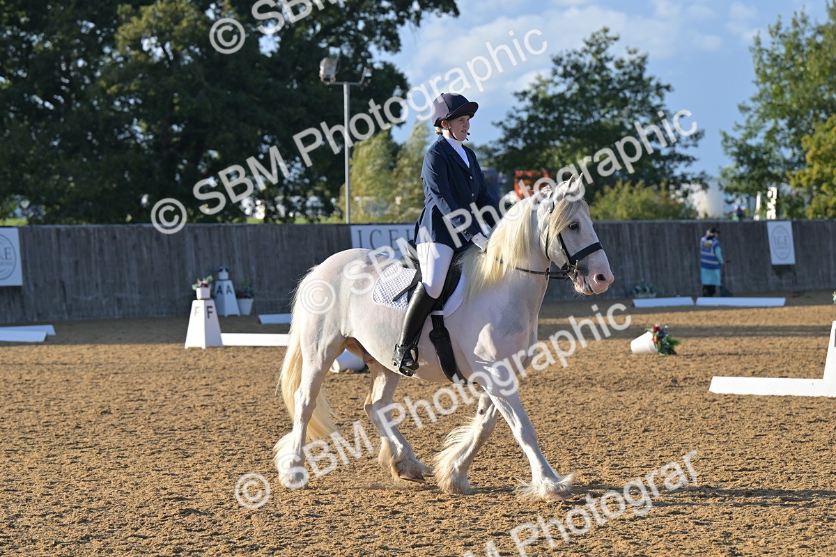 SBM_13171 - D3 - Small Tour Championship Intro 3