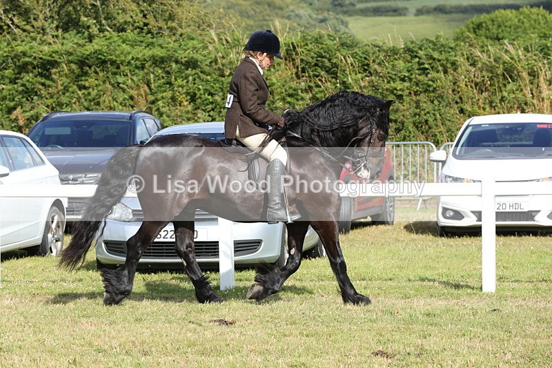 1X9A5946 - Class 42: NPS Dales, Fell, Highland