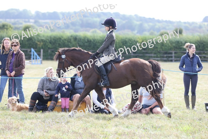 20250831-1241 - Class 15 - Ridden Veteran