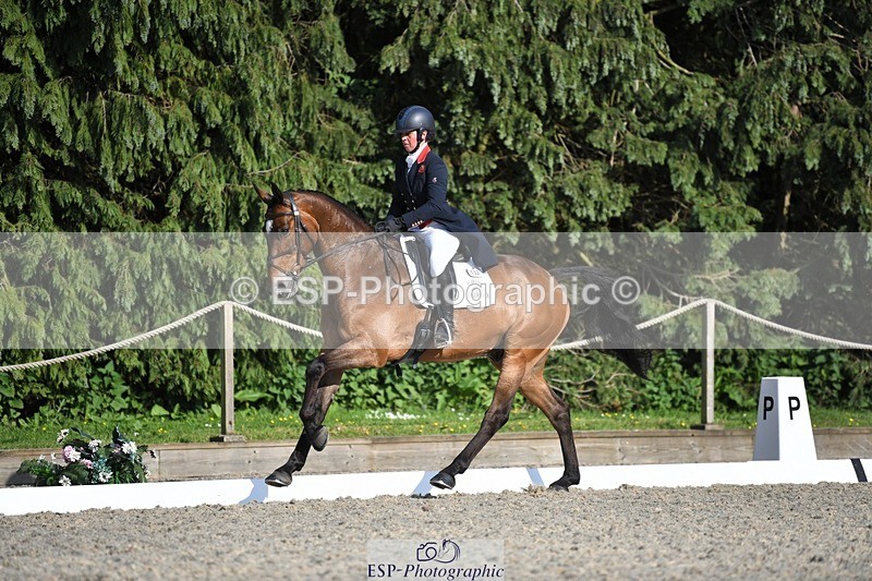 230525-175752-03646 - 132-OGUE_VERDI-Kitty_King-WEDTrotUp+DR
