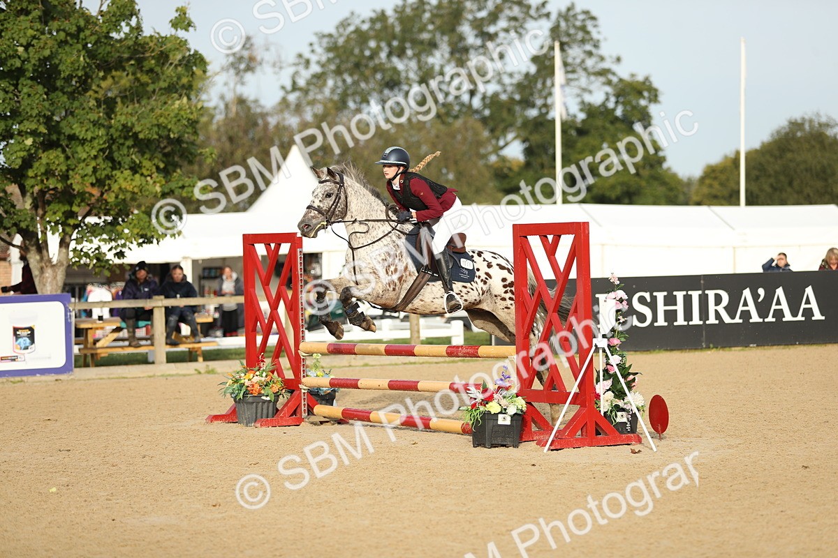 SBM_55938 - J24 - Junior Horse 75cm Championship