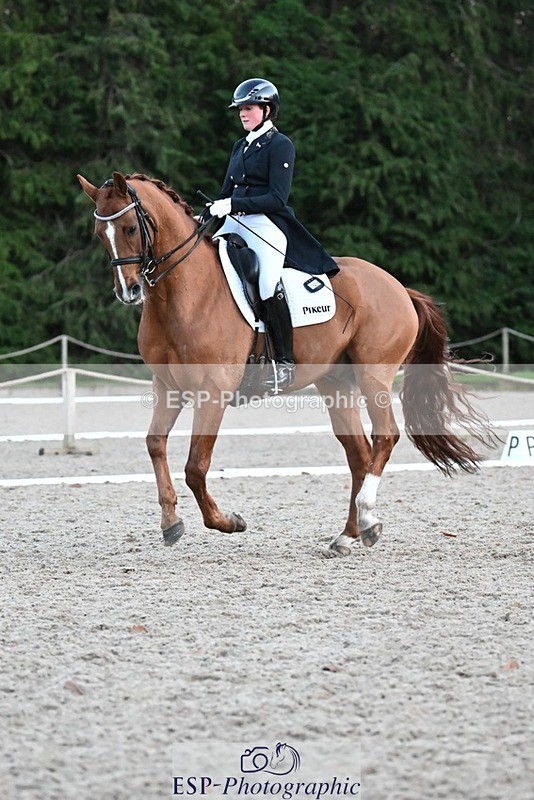 231110-164004-02719 - Cls 14 FEI Grand Prix