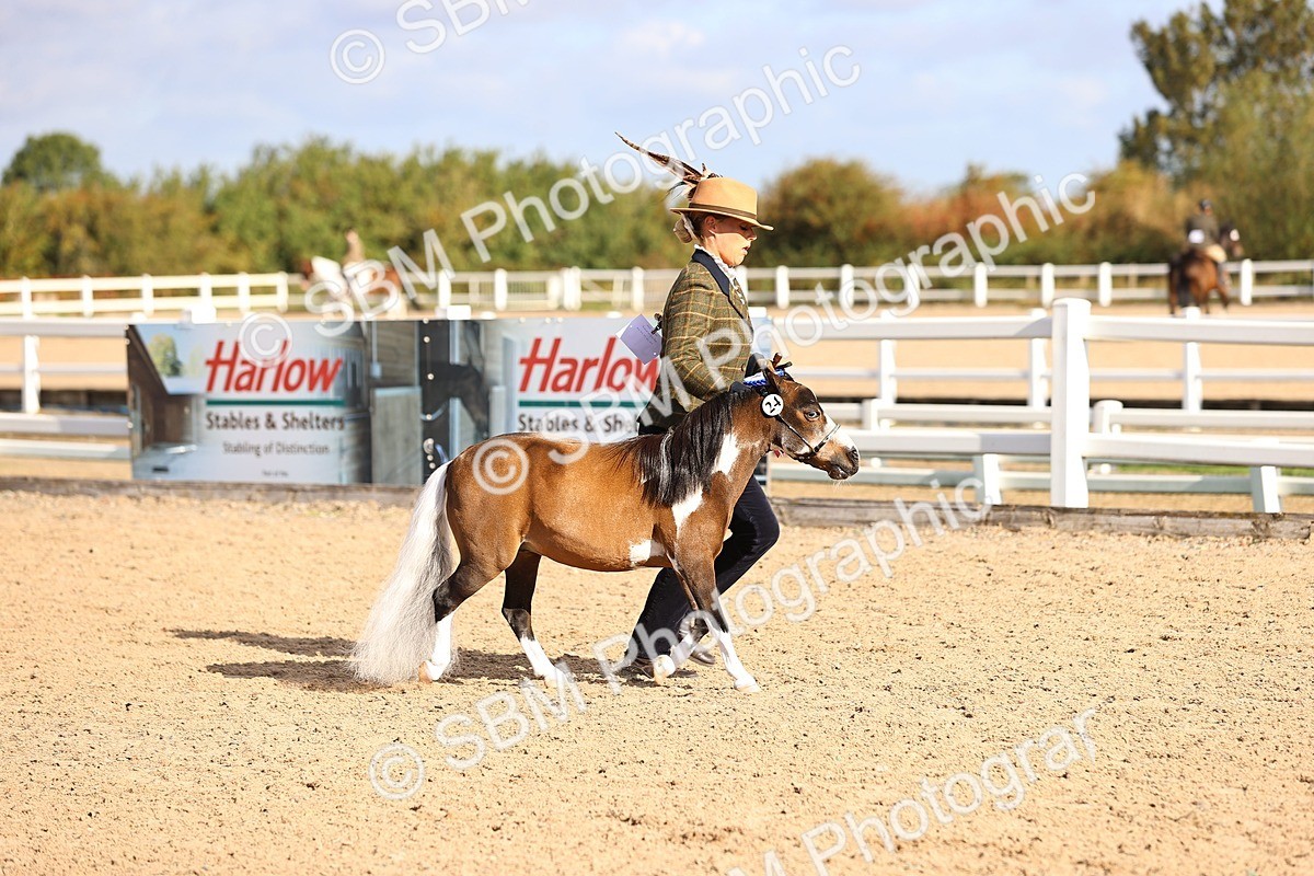 SBM_08558 - Class 402 - IH Veteran Pony