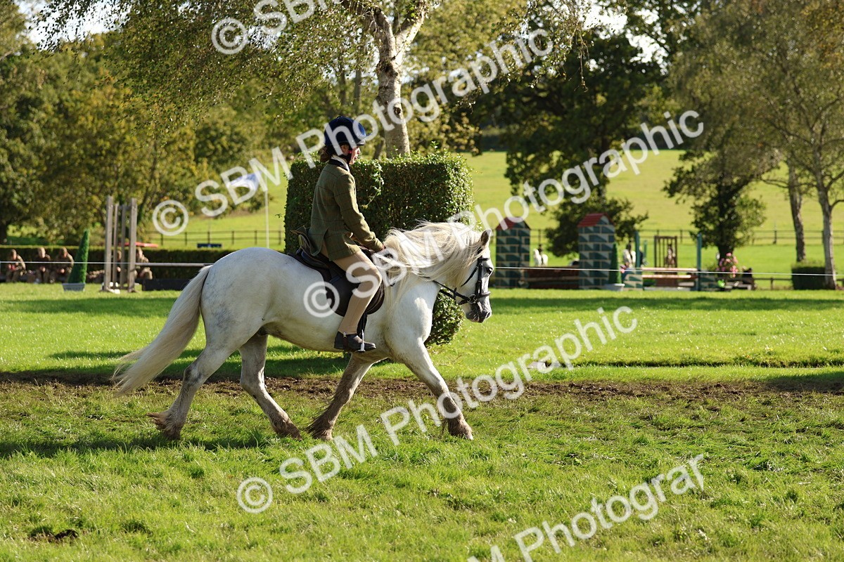 SBM_52372 - S13 - Pony Club Pony