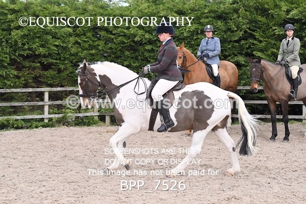 BPP_7526 - RING 1  (RIDDEN HORSES / IN HAND / VETERAN ETC)