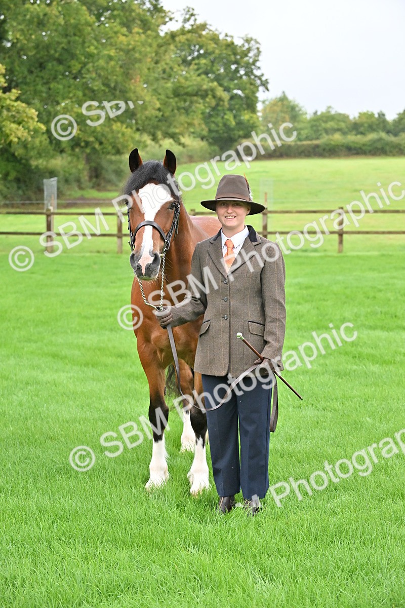 SBM_32645 - S15 - Top Turnout In Hand