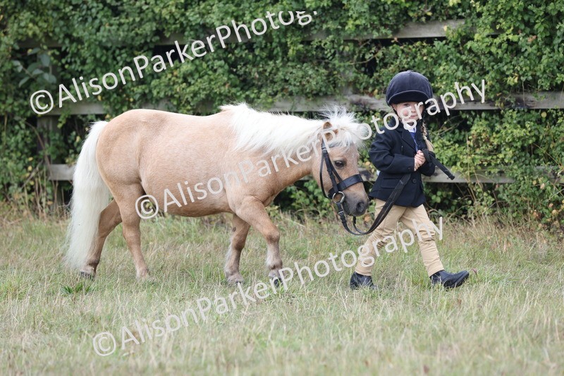 20250831-3022 - Class 23 - Child Handler