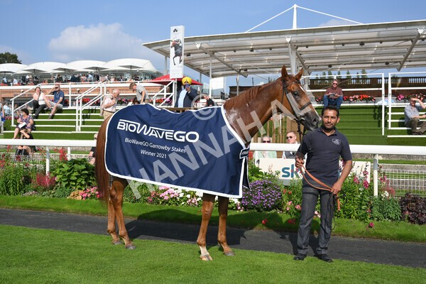 yr05092021r3-42 - Race 3 3.15pm The BioWaveGo Garrowby Stakes