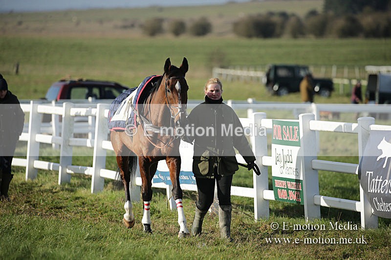 PtP 011219-0016 - Hursley Hambledon Hunt Point-to-Point 01/12/19