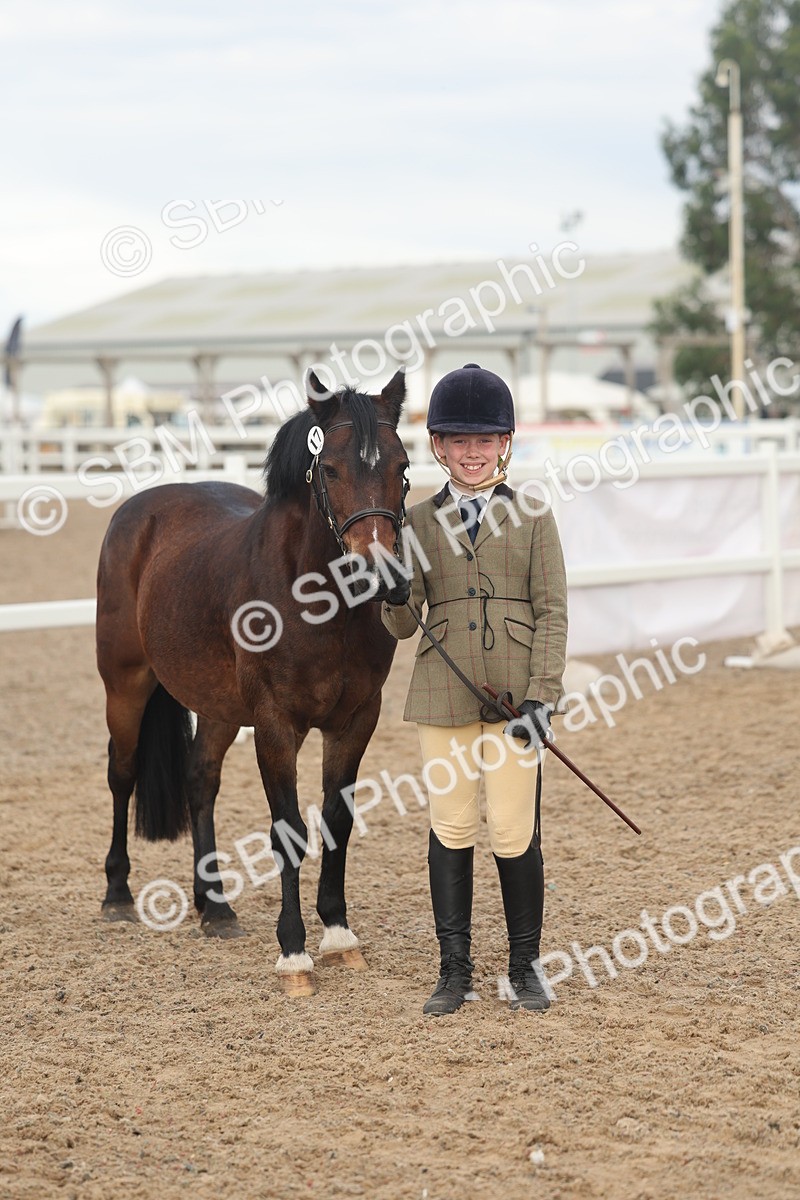 SBM_08552 - Class 29 - IH Veteran Pony
