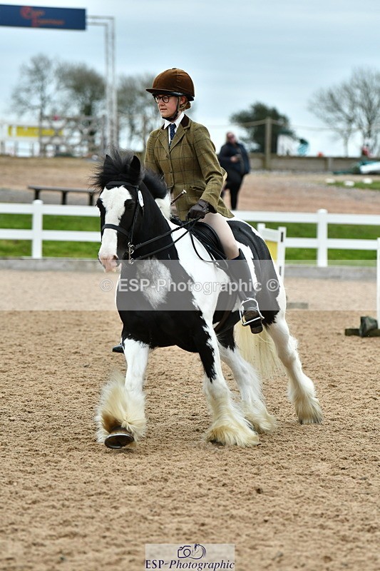 230416A-115956-04272 - Cls 72+73+69 Welsh, Trad Cob and Foreign