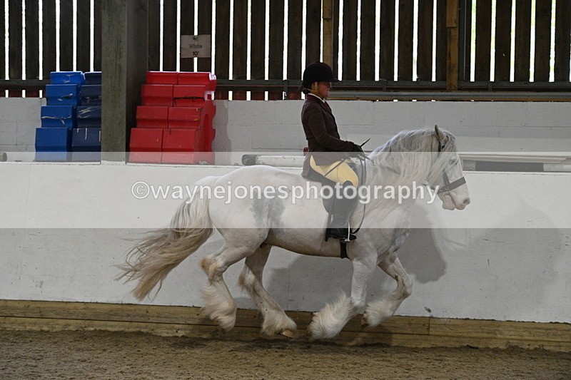 WJ7_4240 - Class 17 Ridden Cob