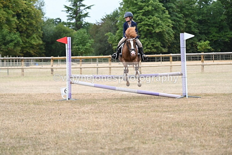 WJ6_0615 - Class 14 Intermediate Jumping 75cm