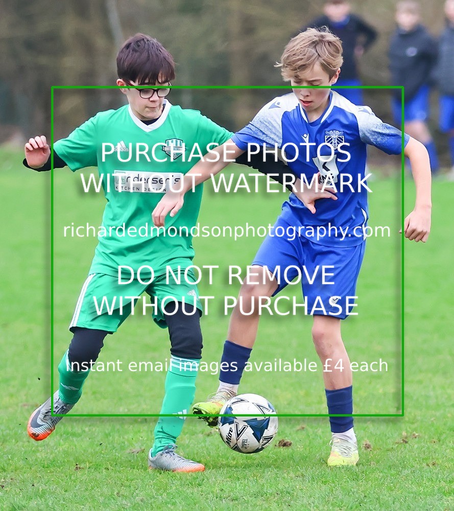 533A6067 - Lonsdale Terriers