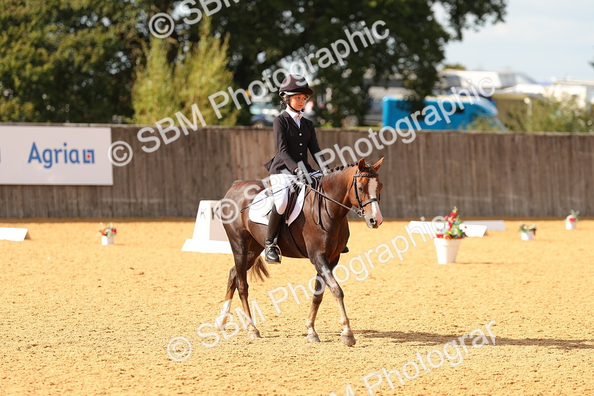 SBM_48384 - D22 - Junior Championship - Intro B