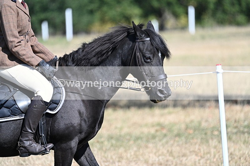 WJ7_3469 - Class 9 Mountain & Moorland Ridden