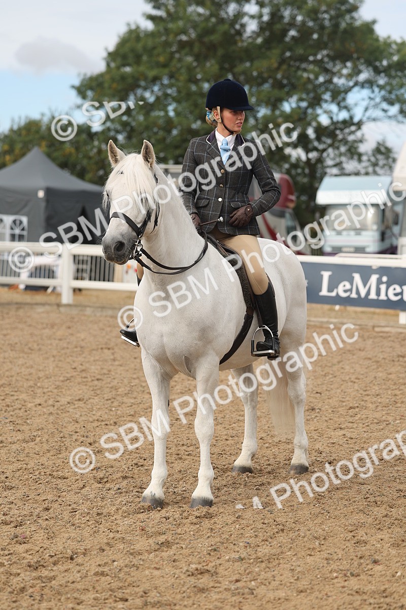 SBM_02003 - Class 14 - Ridden M&M Wildcard