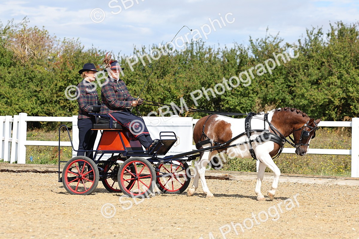 SBM_000860 - Class 8 - Novice Horse or Pony to any vehicle