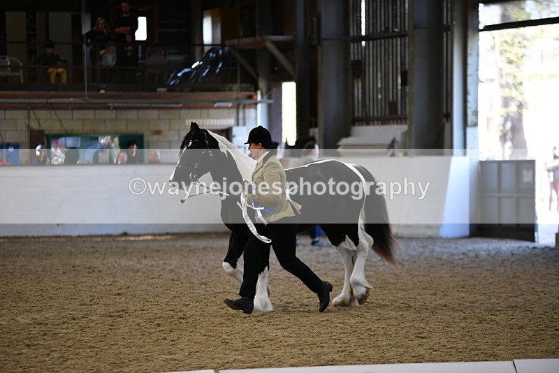 WJ5_3759 - Class 5 In Hand Veterans