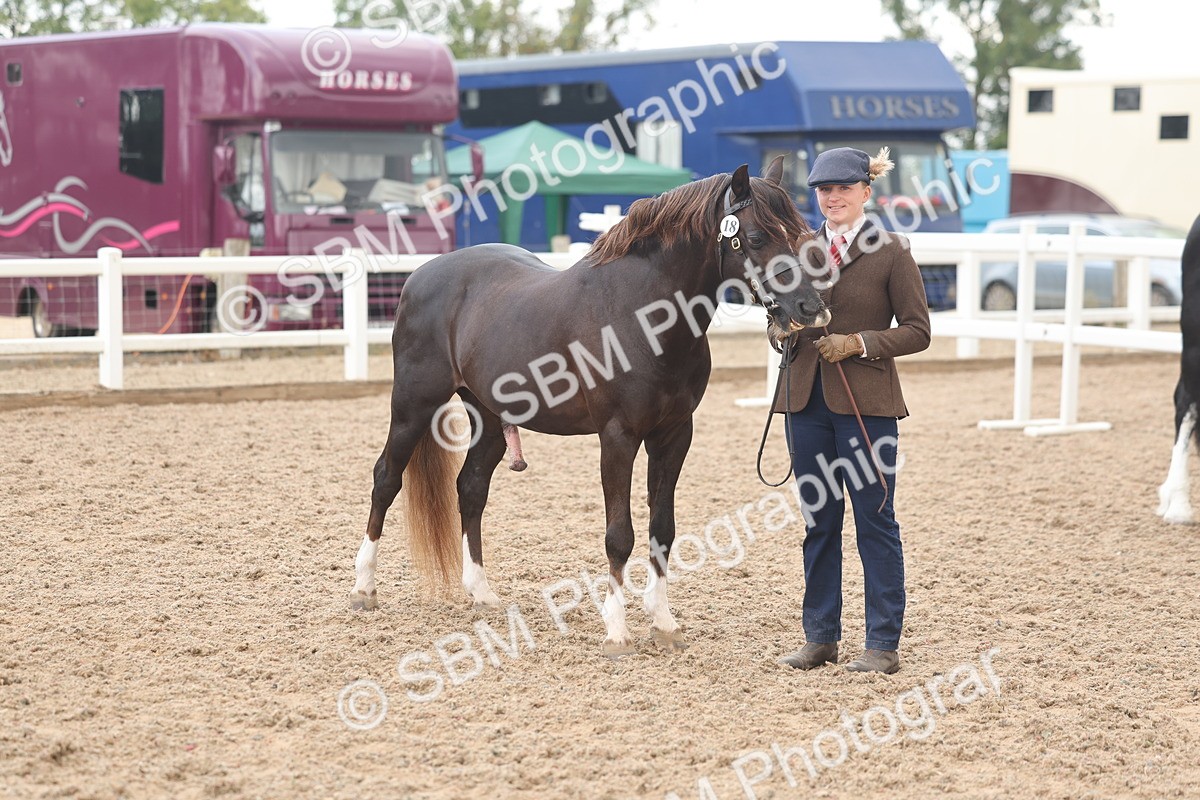 SBM_03280 - Class 16 - IH M&M Wildcard