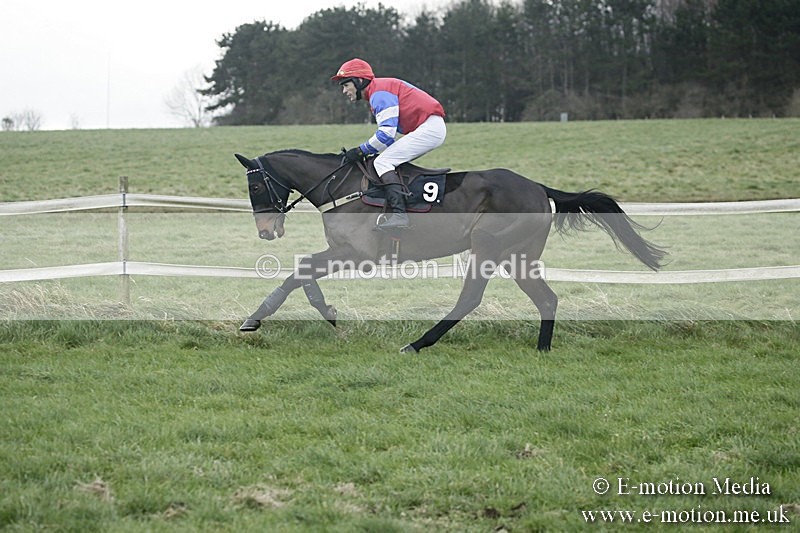 PtP 031217 383 - Hursley Hambledon Point-to-Point Larkhill 03/12/17