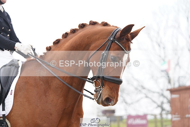 250404-095000-04129 - 009-Sarah.Stewart-Djoe.Dimaggio