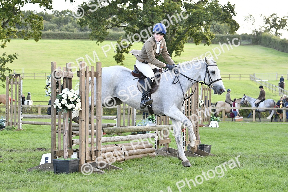 SBM_52145 - S35 - Working Hunter & Working Show Horse