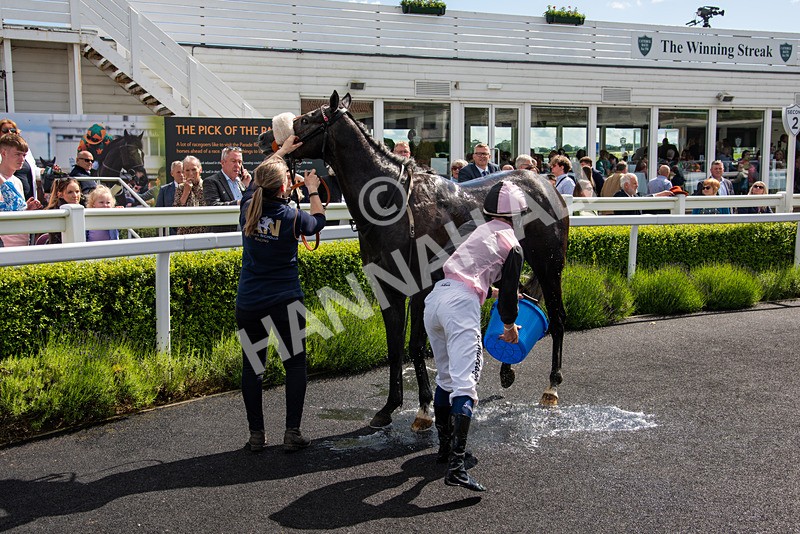 080624-Race 4-Secret Command-7212 - Race 4