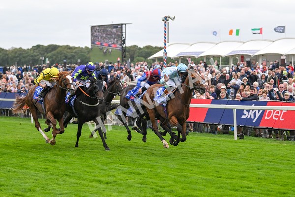 200825-Race 3-Pride Of Arras-1483 - Race 3 3.00pm Sky Bet Great Voltigeur Stakes
