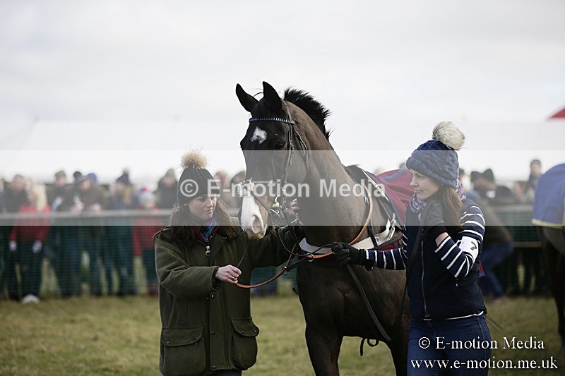 PtP 040218 71 - Point-to-Point Milborne St Andrew 04/02/18