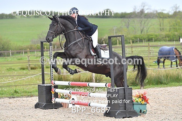 BPP_6687 - CLASS 2 FRI Club/ Unaffiliated 80cms Open