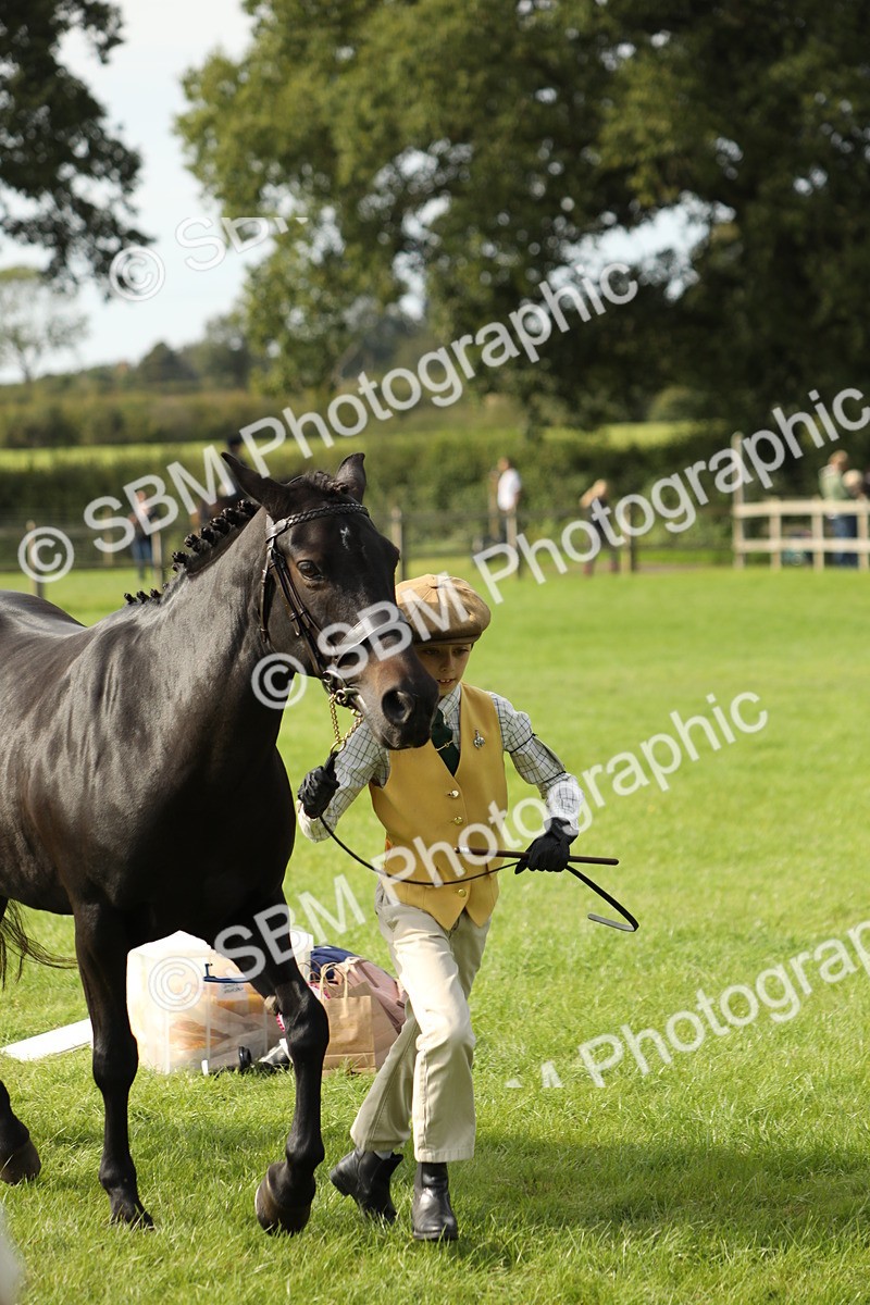 SBM_68690 - S40 - Junior Handler 9-12 Years