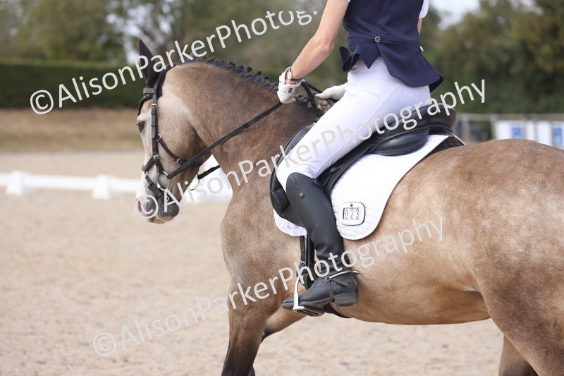 20260816-1163 - Class 4 - Novice 6