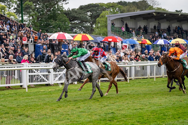 040524-Race 4-Star Of Lady M-4512 - Race 4