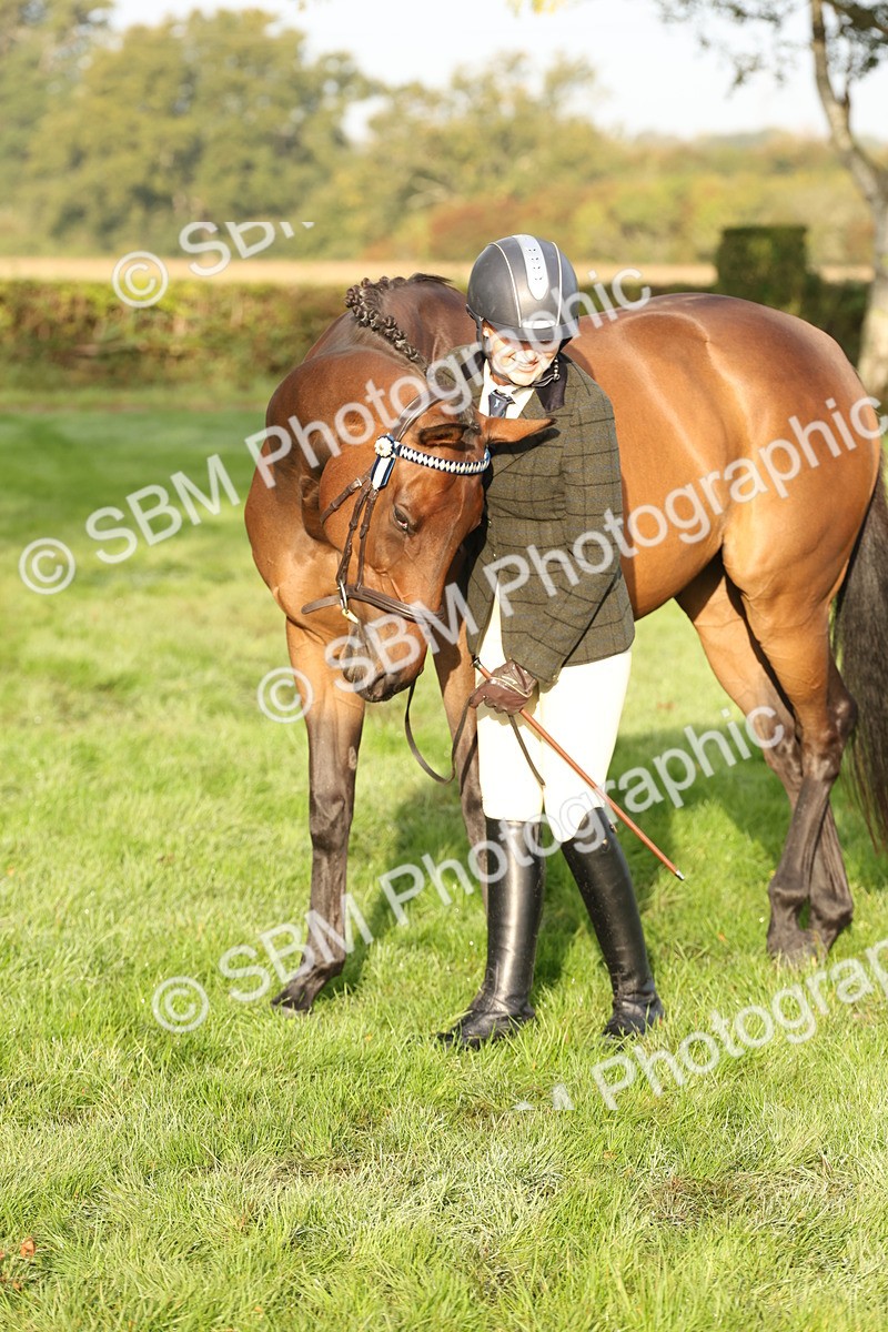 SBM_54972 - S52 - Riding Horse & Hack & thoroughbred In Hand