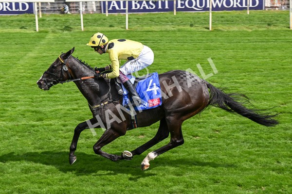 260725-Race 3-Royal Champion-7456 - Race 3 2.40pm Sky Bet York Stakes