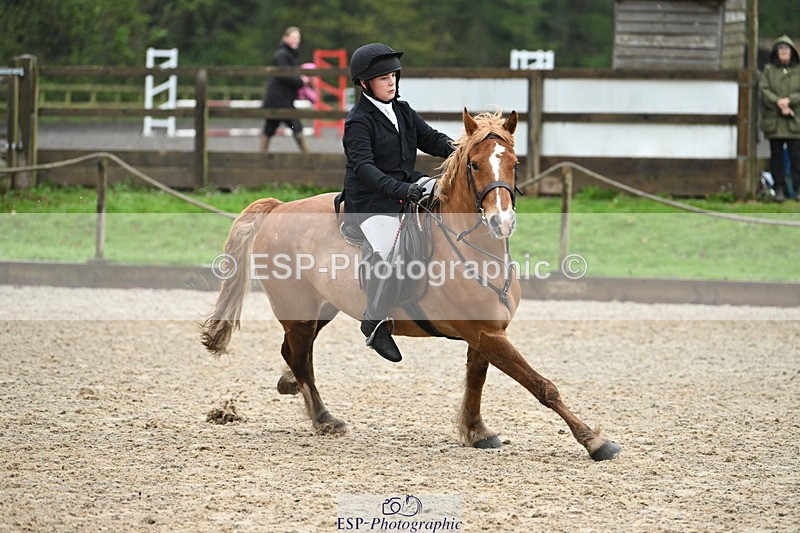 250418A-090940-00213 - NSEA GR 70cm