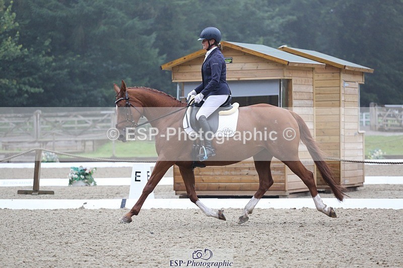 240720-125746-05174 - 186-Dani_Wills-Greathill_Sahara