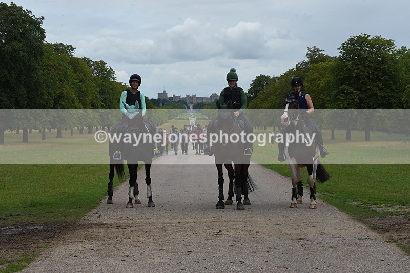 TT3_9914 - Time at Crossing 11:28 to 13:16