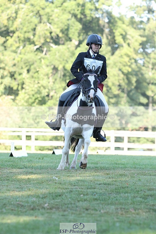 250823A-084118-25756 - Arena D