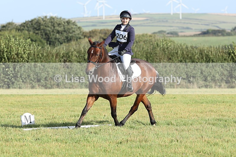 JPP_7931 - Class 2A: Trekenning Open: Dressage