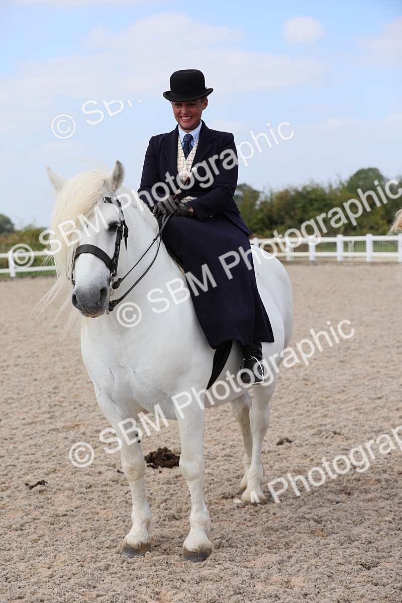 SBM_14614 - Class 211 Best Side Saddle Horse/Pony
