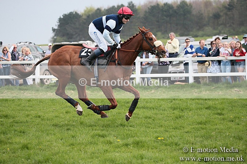 PtP 210418 353 - South & West Wilts Point-to-Point Larkhill 21/04/18