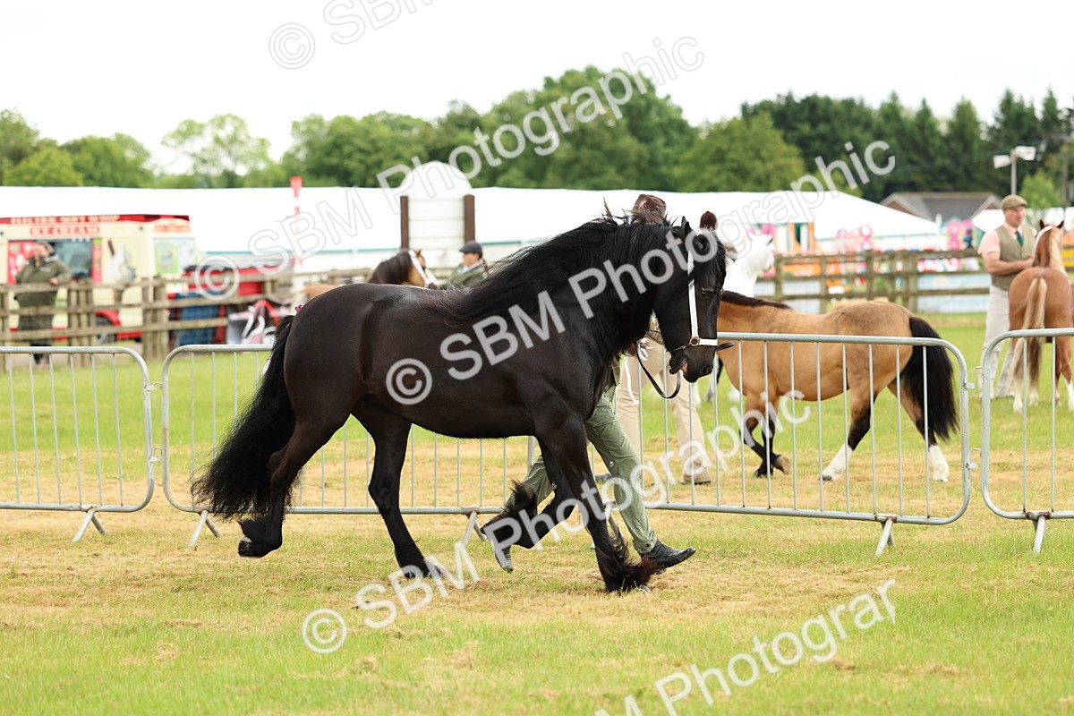 SBM_00473 - Class 58-67 - M&M Non Welsh Pony In hand