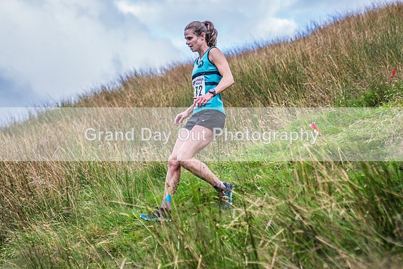 Steel Fell-473 - Steel Fell Race Wednesday 7th August 2024