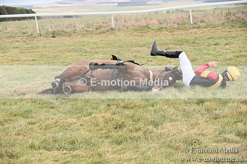 PtP 230119 74 - Royal Artillery Point-to-Point  - Larkhill  - 26/01/19