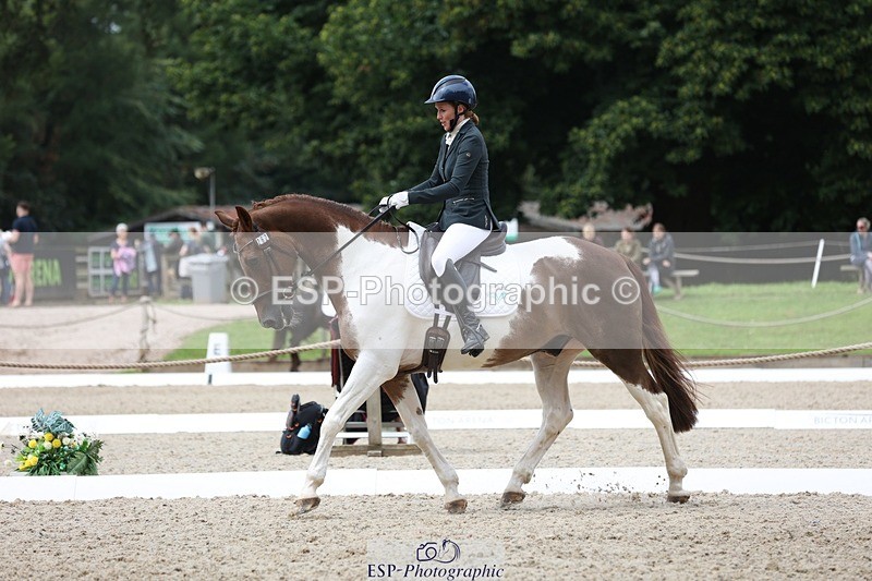 230812-121158-03954 - Cls 5 Novice Bronze 11.15 to 12.50 break